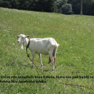 Sborová dovolená Čučice 2016